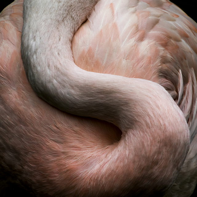 施旅行—旅遊景點影像導覽計畫